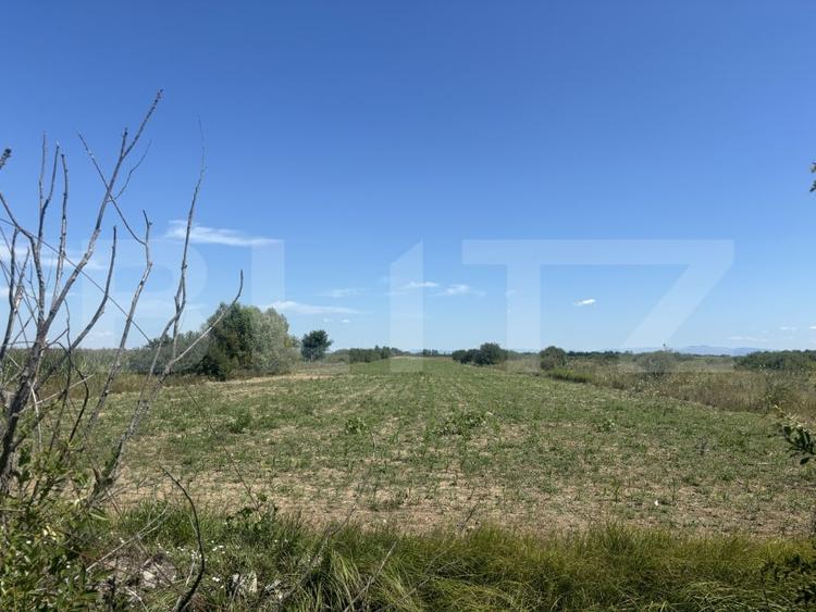 Teren agricol extravilan de 62000 mp, în Cionchești