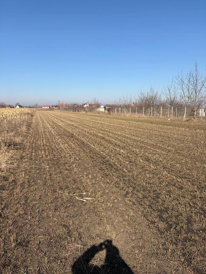Teren Construcții intravilan de 6000 mp, în Stupini