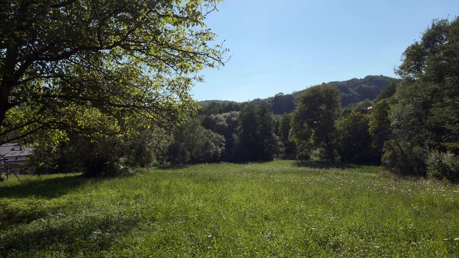 Teren Construcții intravilan de 4653 mp, în Valea Danului