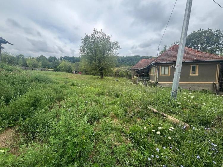 Casă cu 4 camere în Țărmure