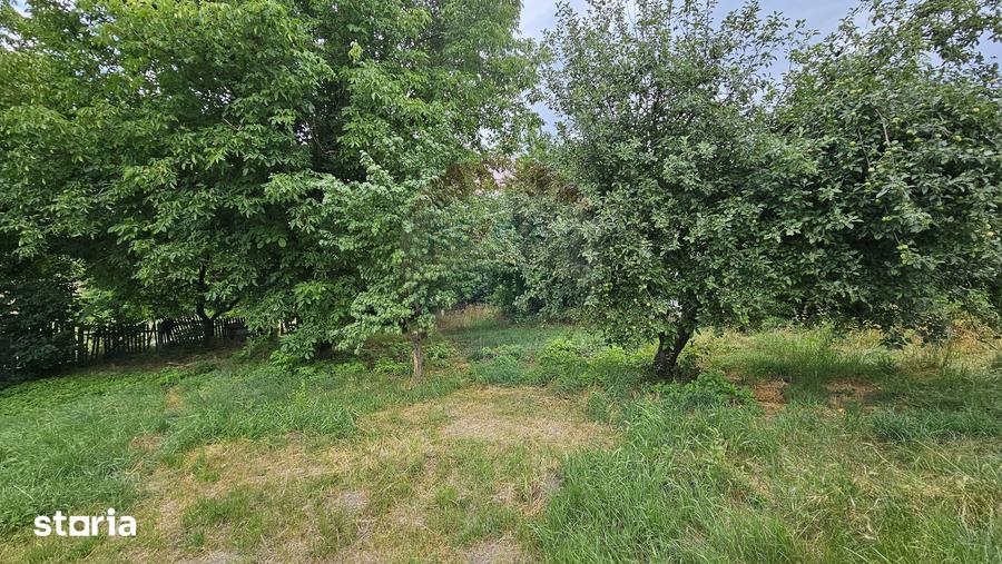 Casă cu 2 camere cu Teren 9200 Mp în Șendriceni