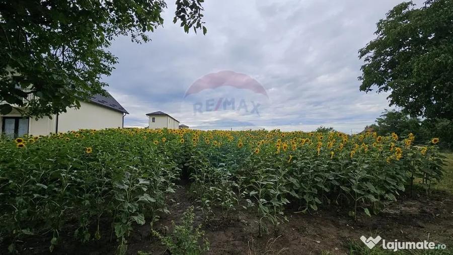 Teren intravilan 2600 mp de vanzare, Ipote?ti- Lisaura,... - 8