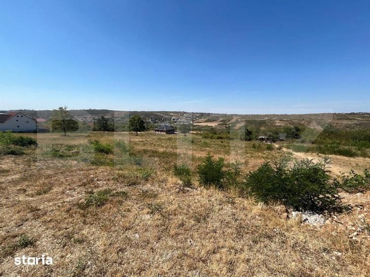Teren de 9995 mp, în Paleu