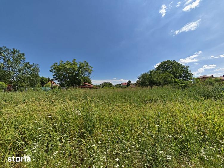 Teren de 1031 mp, în Snagov
