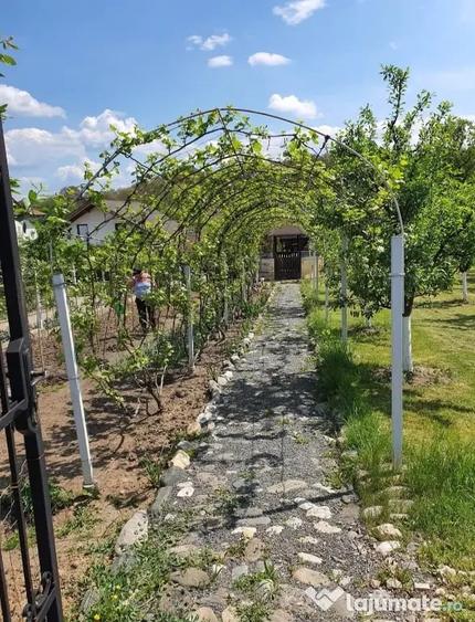 Teren intravilan casa - 6
