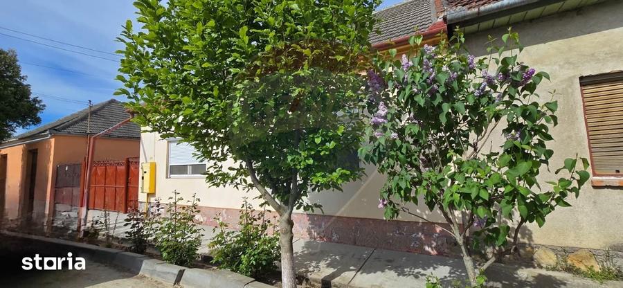 Casă cu 6 camere cu Teren 700 Mp în Central