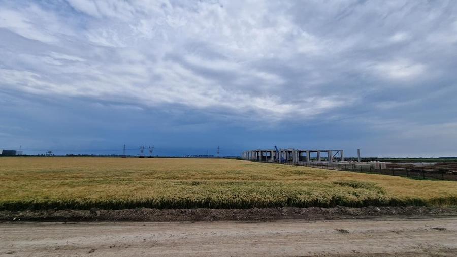 Teren Construcții intravilan de 30000 mp, în Ștefăneștii de Jos