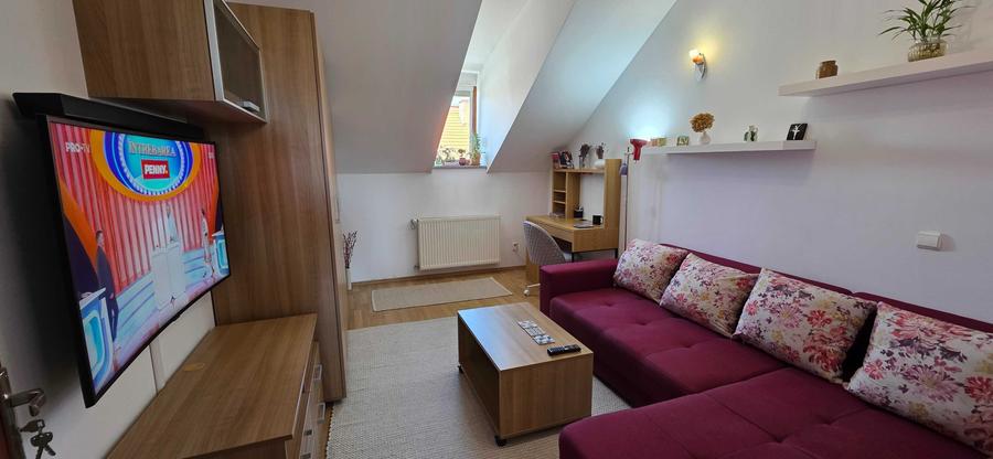 Apartament cu 2 camere decomandat în Dosu Bricii