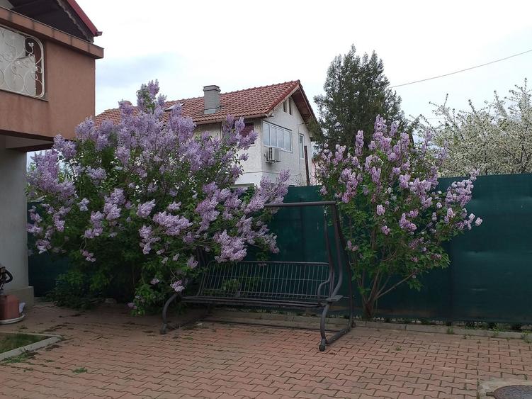 Casă individuală cu 6 camere cu Canalizare în Central