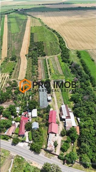 Teren intravilan de 29400 mp, în Vernești