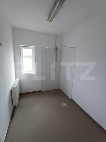 Hala depozitare/productie, 340 mp, Mitocasi - 9