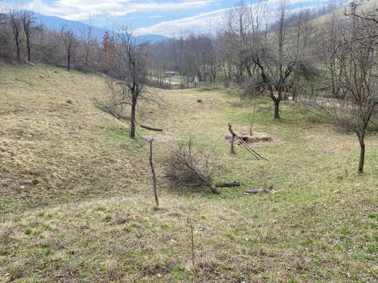 Teren de 4700 mp, în Romos