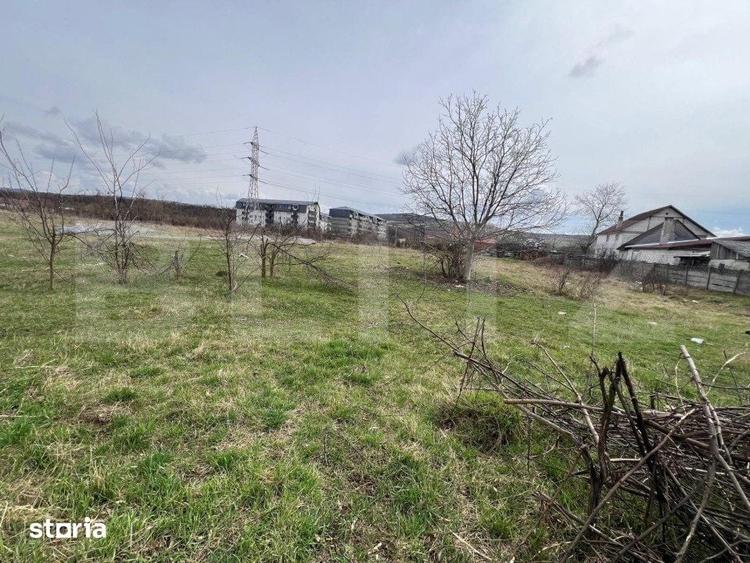 Teren de 4400 mp, în Viișoara