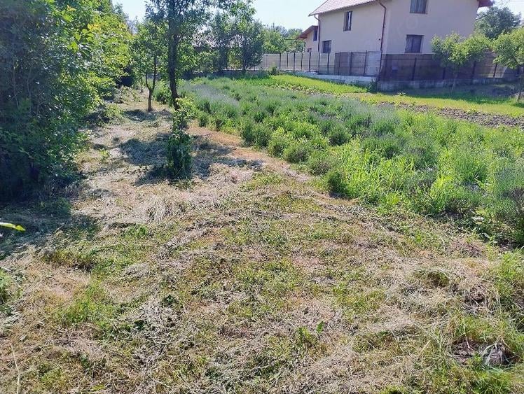Teren de 870 mp, în Central