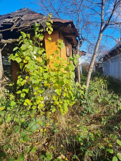 Casă cu 2 camere cu Teren 700 Mp în Central