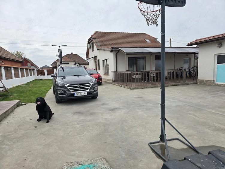 Casă cu 2 camere cu Teren 1483 Mp în Vetiș