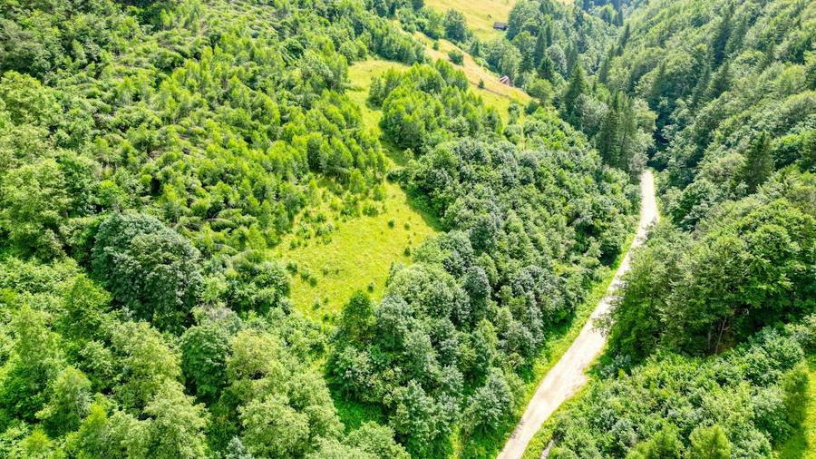 Teren agricol extravilan de 31733 mp, în Moieciu de Jos