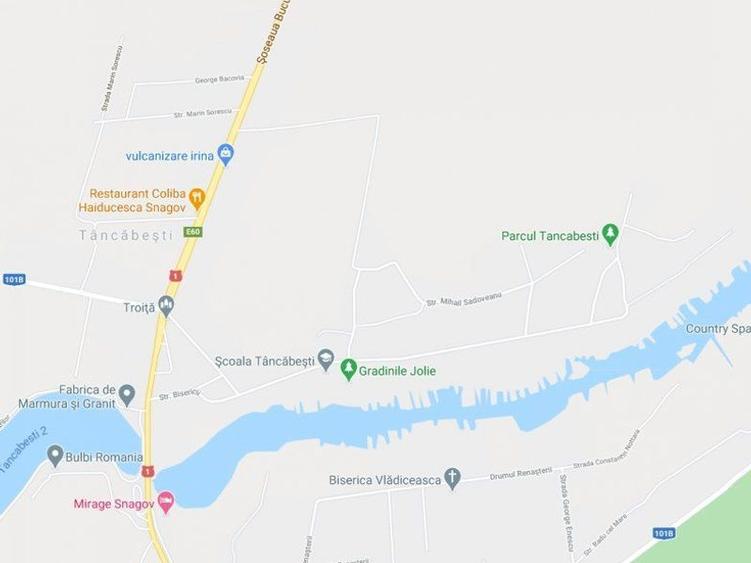 Vanzare teren 20.000 mp Padurea Vladiceasca, Tancabesti - 1
