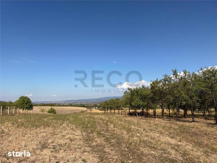 Casă cu 4 camere cu Teren 4436 Mp în Măgești