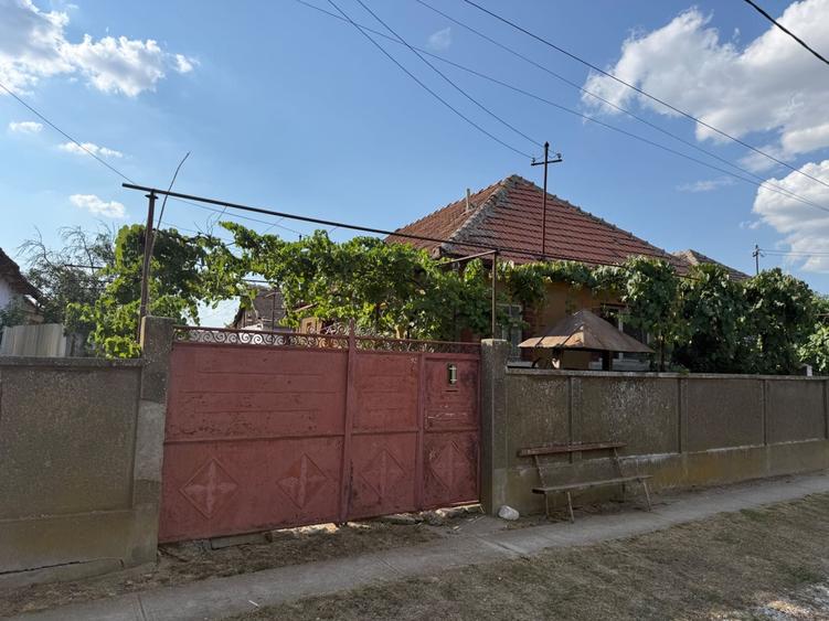 Casă cu 2 camere în Ianoșda