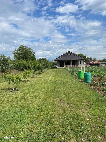Casă cu 3 camere cu Teren 938 Mp în Sârbi