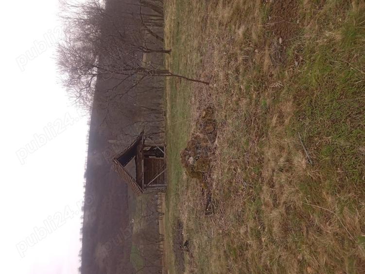 Teren în Cârșie