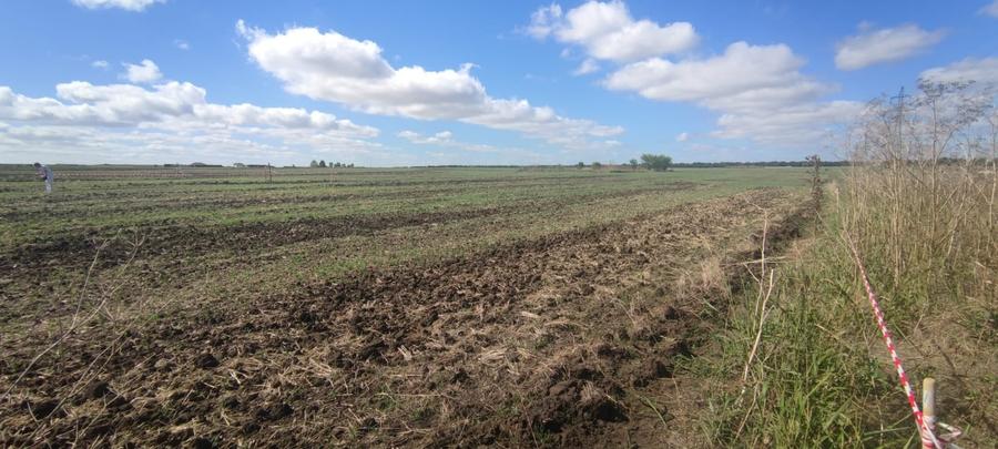 Teren Construcții intravilan de 500 mp, în Vest