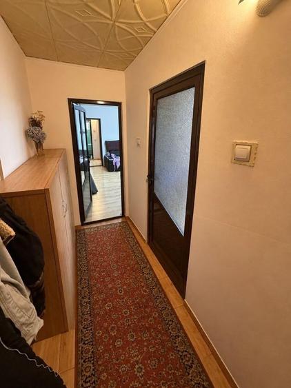 Apartament cu 2 camere semidecomandat, mobilat în Craiovița Nouă