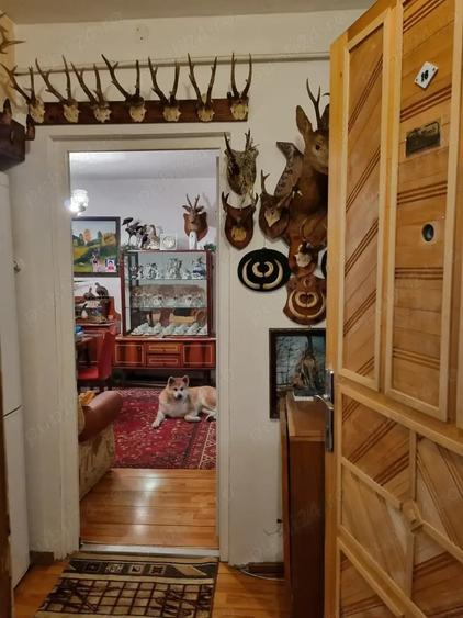 Apartament cu 3 camere semidecomandat în Govândari