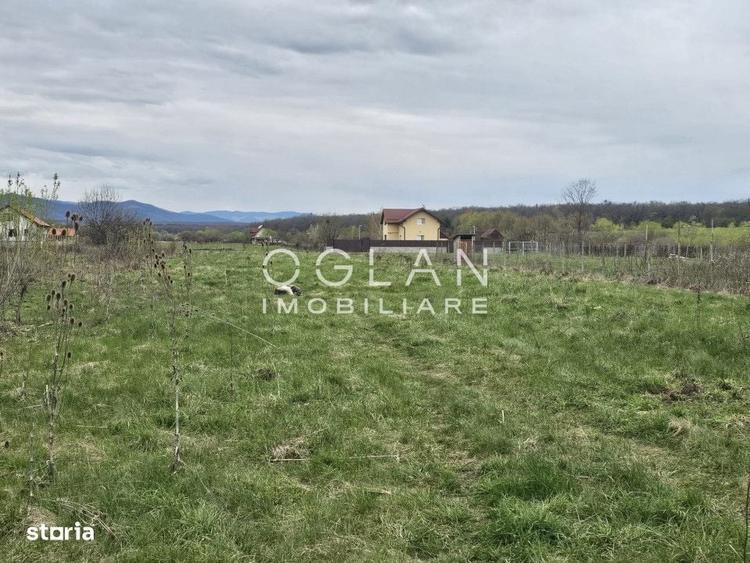 Teren intravilan de 500 mp in Calea Cisnadiei, Sibiu - 3