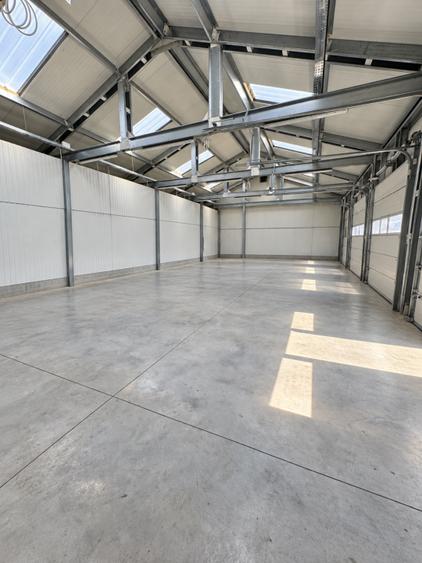 Teren Construcții intravilan de 2600 mp, în Băneasa