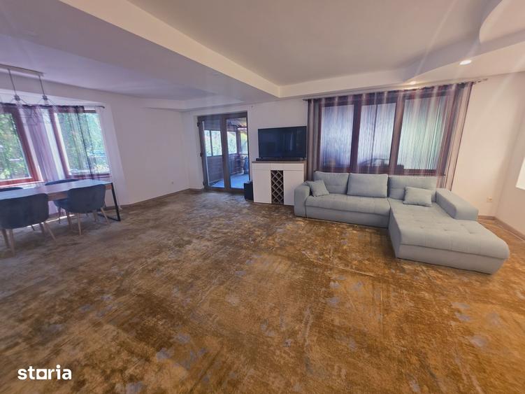 Casa pet friendly cu acces auto Bunloc Sacele -Timisul de Jos - 7