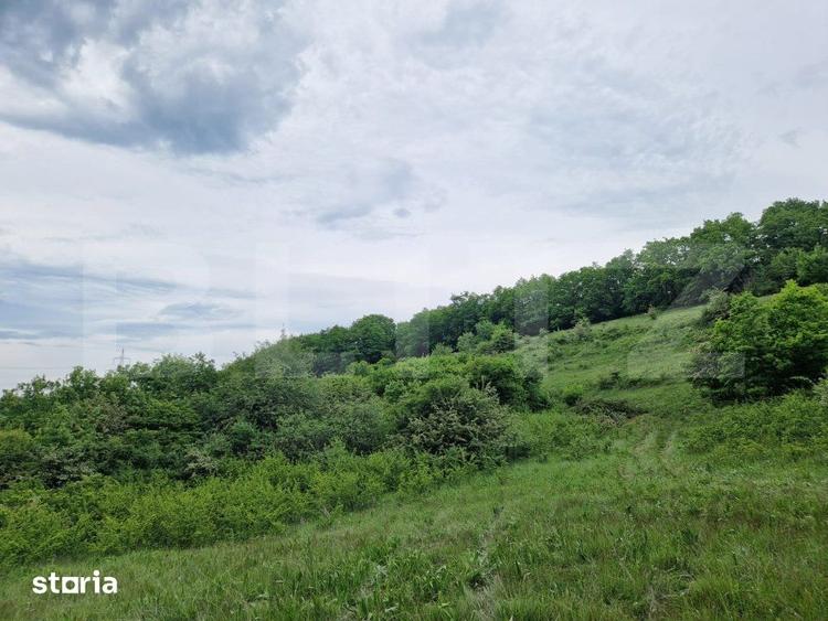 Teren de 15000 mp, în Sava