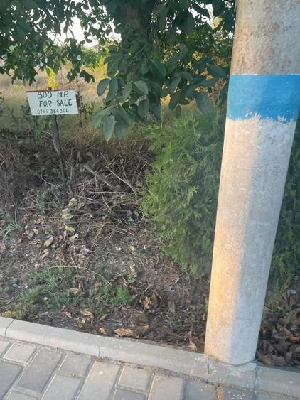 Teren în Central