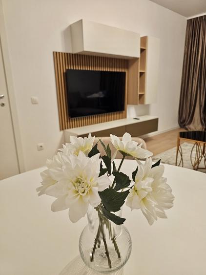 Apartament cu 2 camere decomandat, mobilat în Chitila