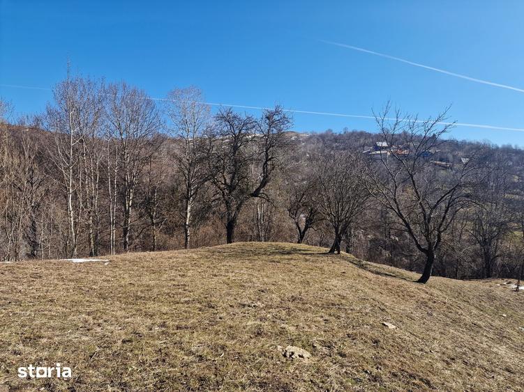 Teren de 4100 mp, în Secăria