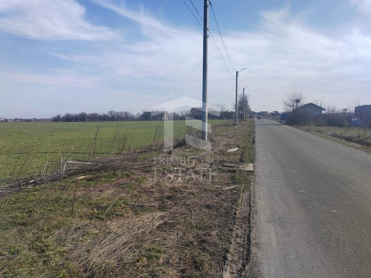 Teren Construcții intravilan de 8650 mp, în Cernica