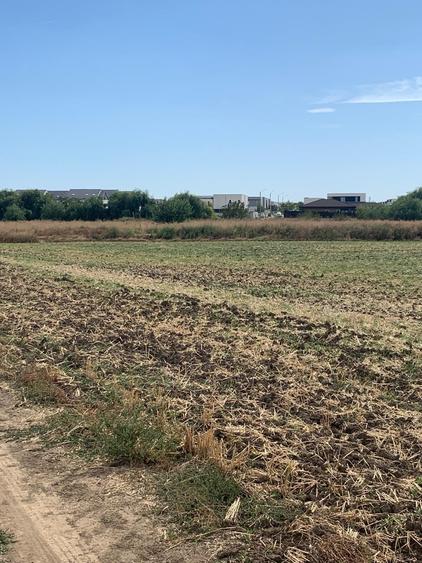 Teren agricol intravilan de 4000 mp, în Dimieni