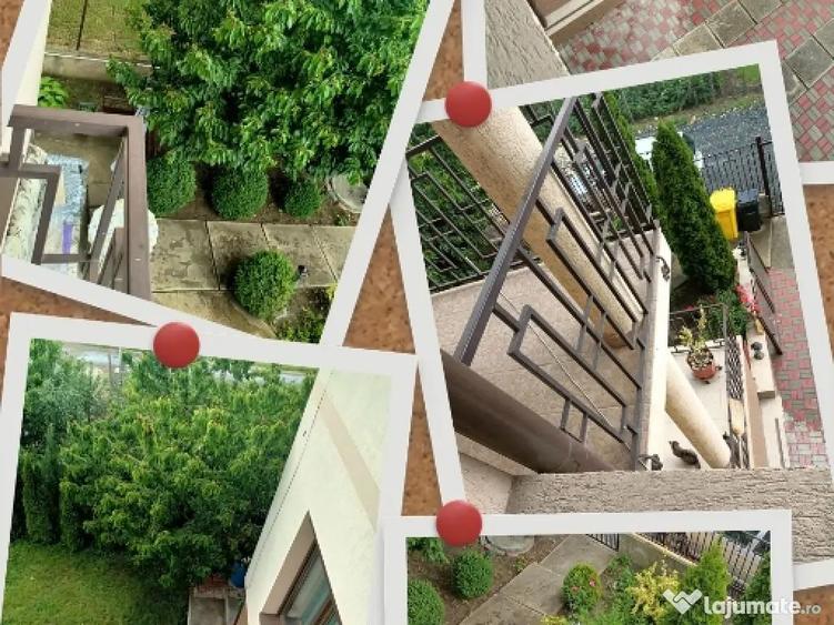 Casă cu 7 camere în Șura Mare