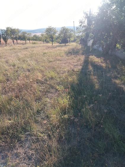 Teren de 1200 mp, în Central
