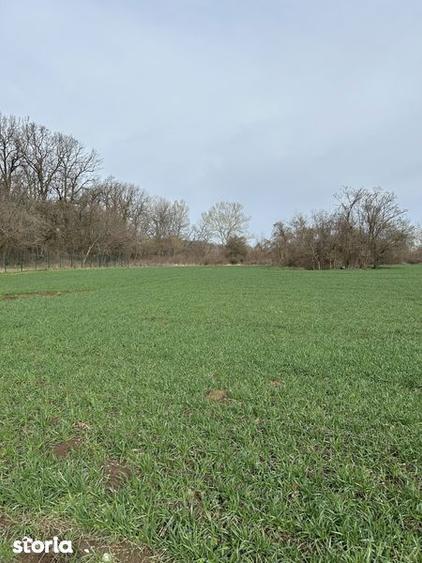 Teren de 1500 mp, în Nuci