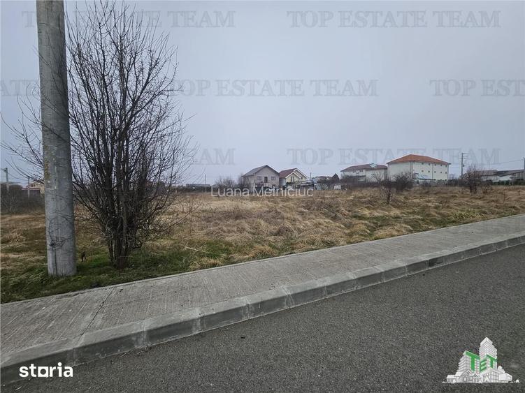 TEREN INTRAVILAN 1000 MP COSTINESTI