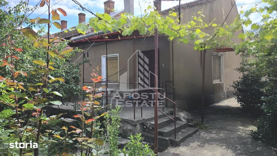 Casă cu 3 camere nedecomandat cu Teren 698 Mp în Pârneava
