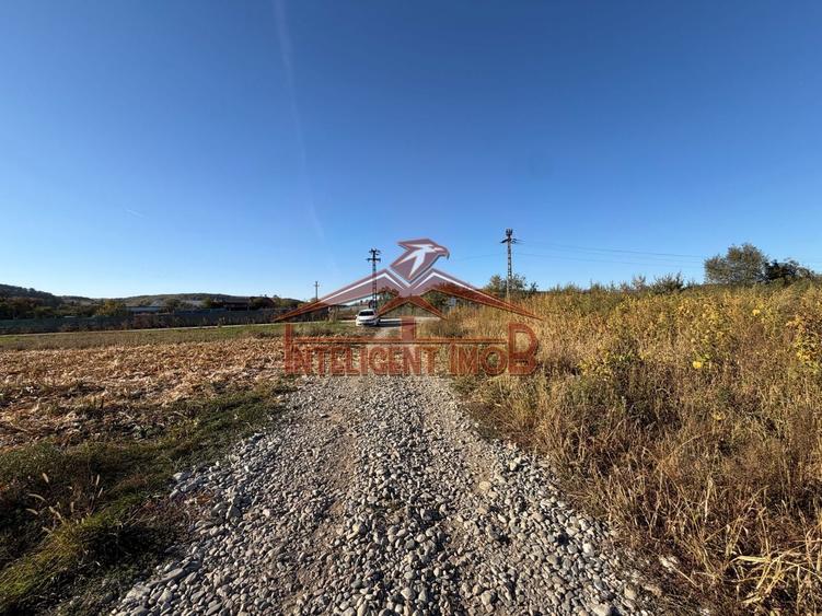 Teren agricol extravilan de 1250 mp, în Bradu