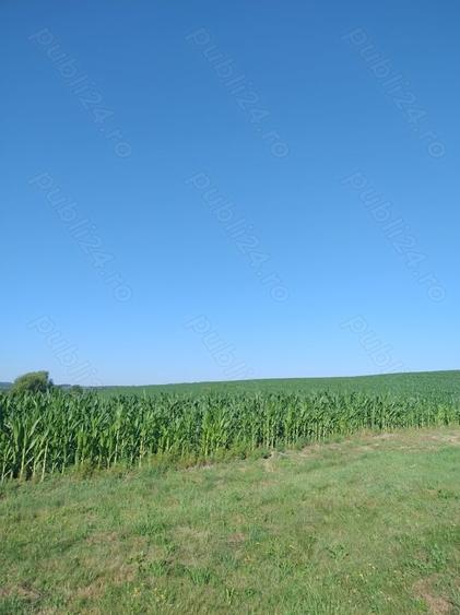 Teren în Valea Albă
