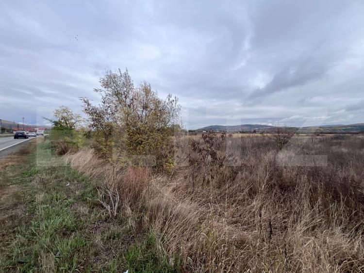 Teren Construcții intravilan de 6800 mp, în Nord-Est