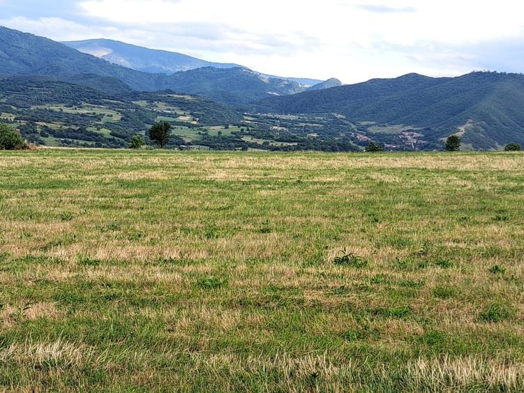 Teren agricol extravilan de 6200 mp, în Rășinari
