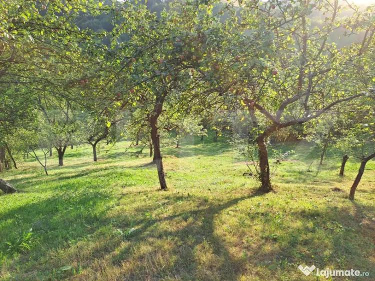Casă cu 2 camere cu Teren 10000 Mp în Almașu Mare