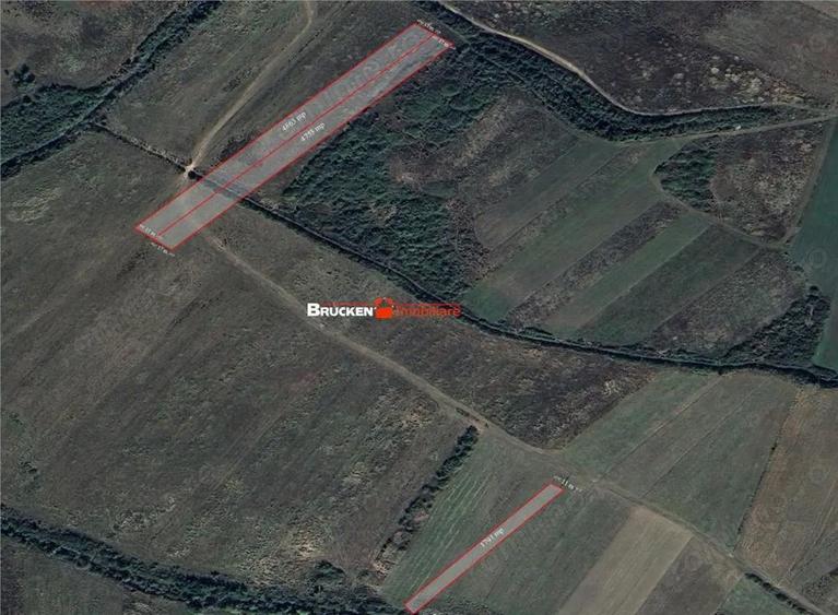 Teren de 23400 mp, în Husasău de Tinca