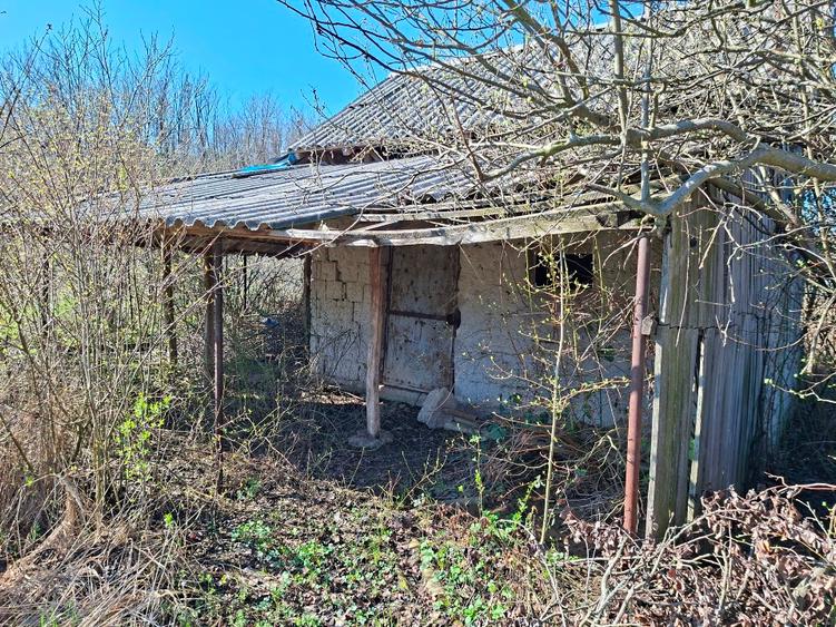 Teren Construcții extravilan de 2600 mp, în Ștefănești